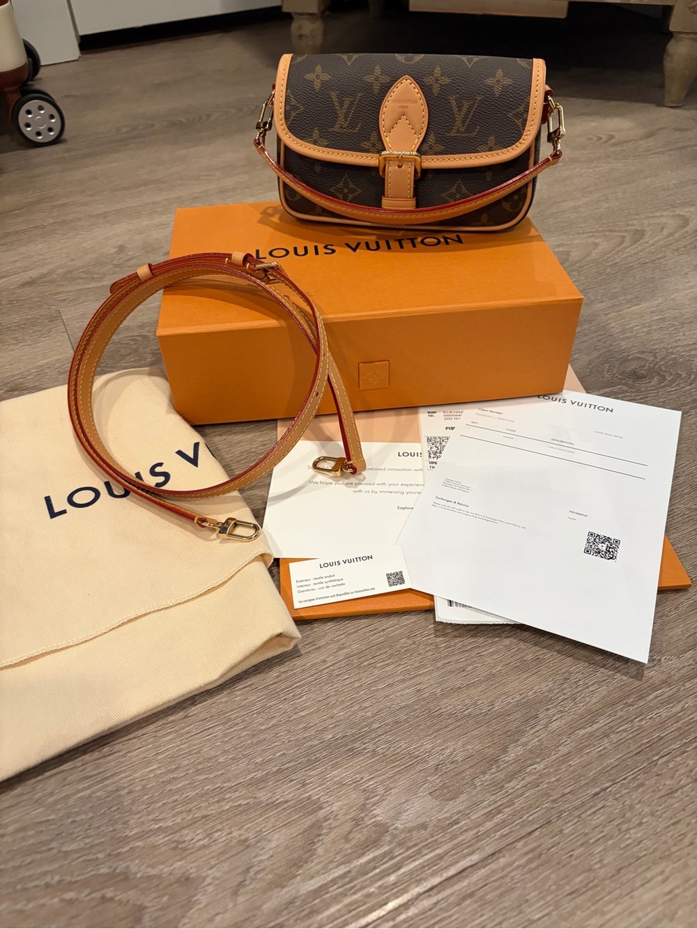 Louis Vuitton Monogram Diane Nano Crossbody and top handle